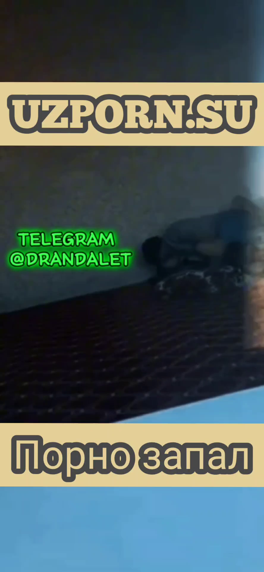 ZAPAL VIDEO UZBEKCHA UYNASHINI UYGA CHAQIRIB SIKISHYAPTI